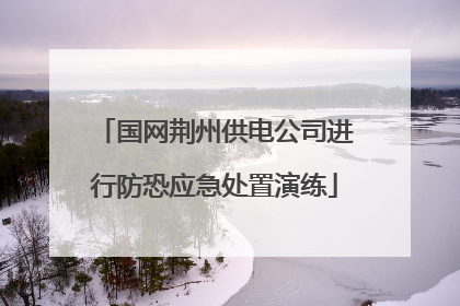 国网荆州供电公司进行防恐应急处置演练