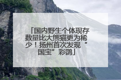 国内野生个体现存数量比大熊猫更为稀少！扬州首次发现“国宝”彩鹮