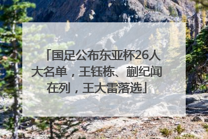 国足公布东亚杯26人大名单，王钰栋、蒯纪闻在列，王大雷落选