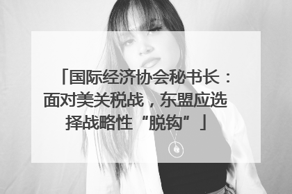 国际经济协会秘书长：面对美关税战，东盟应选择战略性“脱钩”