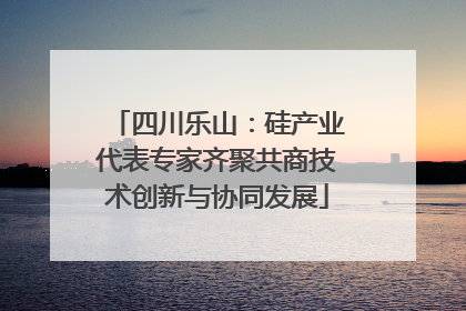 四川乐山：硅产业代表专家齐聚共商技术创新与协同发展