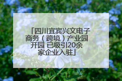 四川宜宾兴文电子商务（跨境）产业园开园 已吸引20余家企业入驻