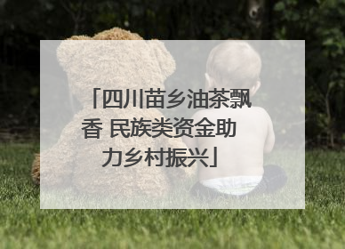 四川苗乡油茶飘香 民族类资金助力乡村振兴