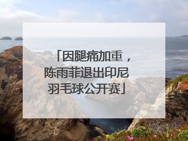 因腿痛加重，陈雨菲退出印尼羽毛球公开赛