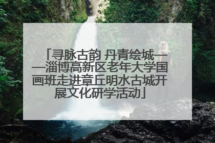 寻脉古韵 丹青绘城——淄博高新区老年大学国画班走进章丘明水古城开展文化研学活动