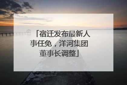宿迁发布最新人事任免，洋河集团董事长调整