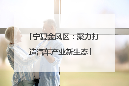 宁夏金凤区：聚力打造汽车产业新生态