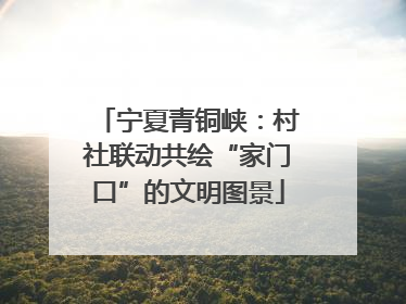 宁夏青铜峡：村社联动共绘“家门口”的文明图景