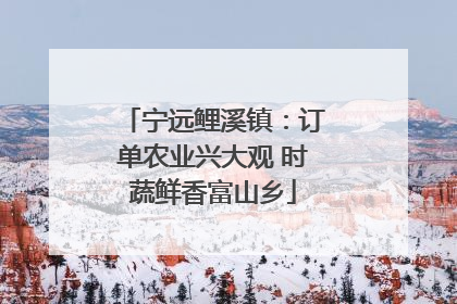 宁远鲤溪镇：订单农业兴大观 时蔬鲜香富山乡