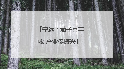 宁远：茄子喜丰收 产业促振兴