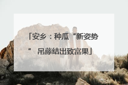 安乡：种瓜“新姿势” 吊藤结出致富果