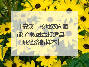 安溪：校地双向赋能 产教融合打造县域经济新样本