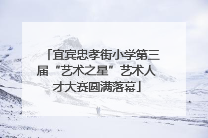 宜宾忠孝街小学第三届“艺术之星”艺术人才大赛圆满落幕