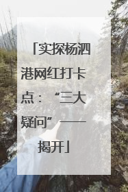 实探杨泗港网红打卡点：“三大疑问”一一揭开
