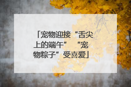宠物迎接“舌尖上的端午” “宠物粽子”受喜爱
