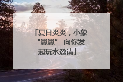 夏日炎炎，小象“崽崽” 向你发起玩水邀请