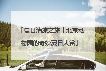 夏日清凉之旅丨北京动物园的奇妙夏日大赏