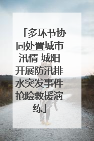 多环节协同处置城市汛情 城阳开展防汛排水突发事件抢险救援演练