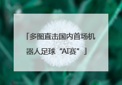多图直击国内首场机器人足球“AI赛”