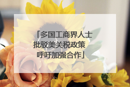 多国工商界人士批驳美关税政策 呼吁加强合作