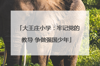 大王庄小学：牢记党的教导 争做强国少年