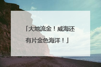 大地流金！威海还有片金色海洋！