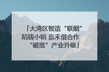 大湾区智造“联姻”精铸小镇 嘉禾借合作“破茧”产业升级