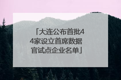 大连公布首批44家设立首席数据官试点企业名单