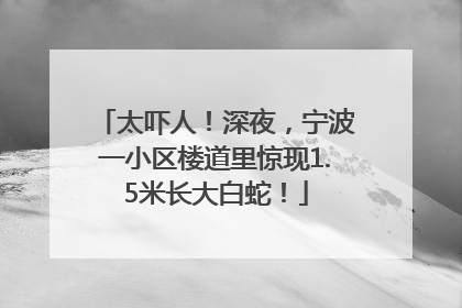 太吓人！深夜，宁波一小区楼道里惊现1.5米长大白蛇！