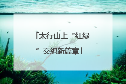 太行山上“红绿”交织新篇章