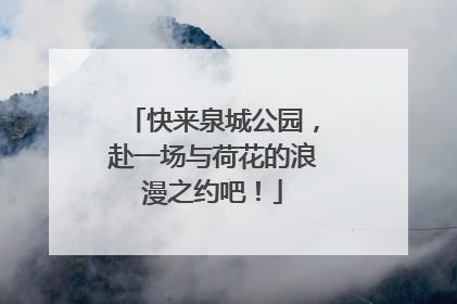 快来泉城公园，赴一场与荷花的浪漫之约吧！