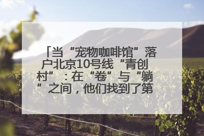 当“宠物咖啡馆”落户北京10号线“青创村”：在“卷”与“躺”之间，他们找到了第三种生活公式