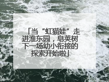 当“虹猫娃”走进淮东园，皂荚树下一场幼小衔接的探索开始啦