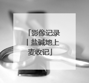 影像记录丨盐碱地上麦收记