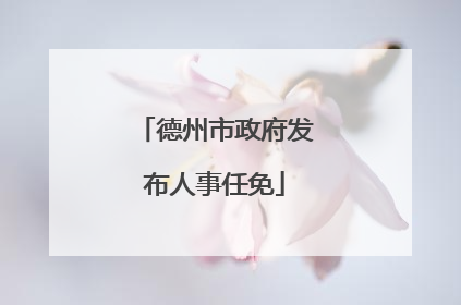 德州市政府发布人事任免