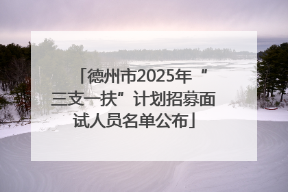 德州市2025年“三支一扶”计划招募面试人员名单公布