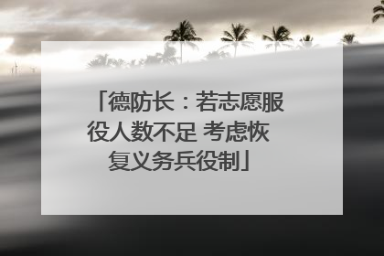 德防长：若志愿服役人数不足 考虑恢复义务兵役制