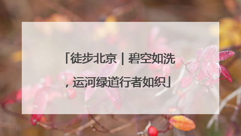 徒步北京｜碧空如洗，运河绿道行者如织