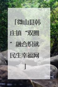 微山县韩庄镇“双圈”融合织就民生幸福网