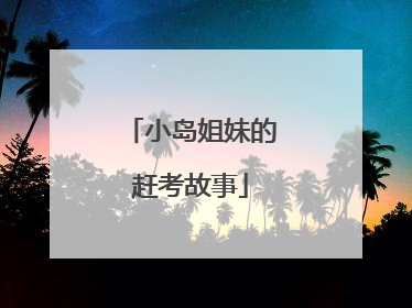 小岛姐妹的赶考故事