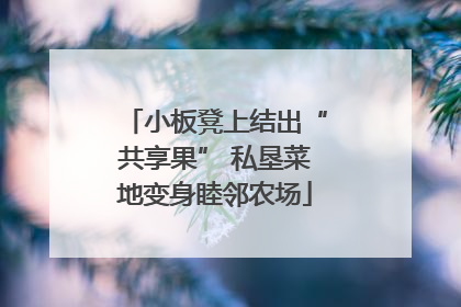小板凳上结出“共享果” 私垦菜地变身睦邻农场