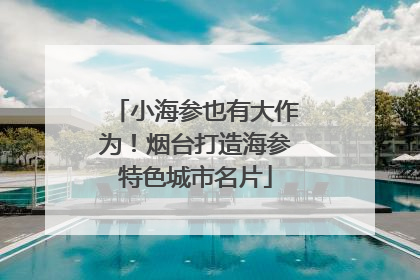 小海参也有大作为！烟台打造海参特色城市名片
