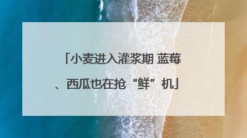 小麦进入灌浆期 蓝莓、西瓜也在抢“鲜”机