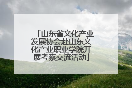 山东省文化产业发展协会赴山东文化产业职业学院开展考察交流活动