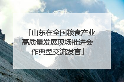 山东在全国粮食产业高质量发展现场推进会作典型交流发言