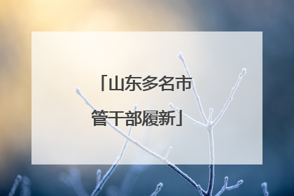 山东多名市管干部履新