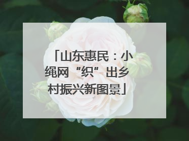 山东惠民：小绳网“织”出乡村振兴新图景
