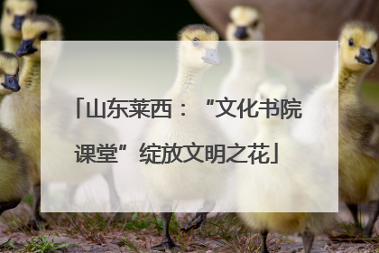 山东莱西：“文化书院课堂”绽放文明之花