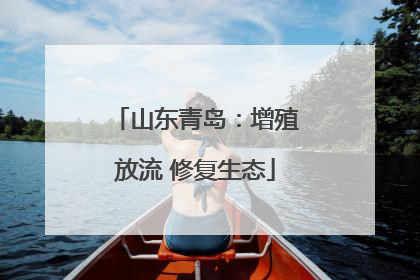 山东青岛：增殖放流 修复生态