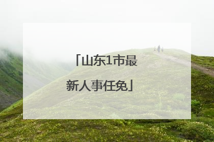 山东1市最新人事任免